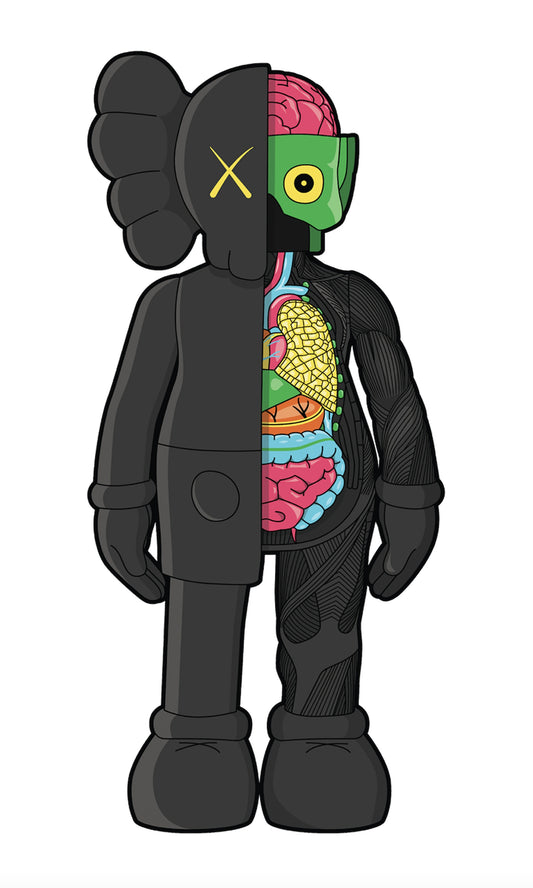 KAWS Black Dissected