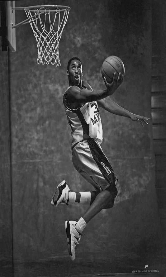 Kobe Lower Merion Mono